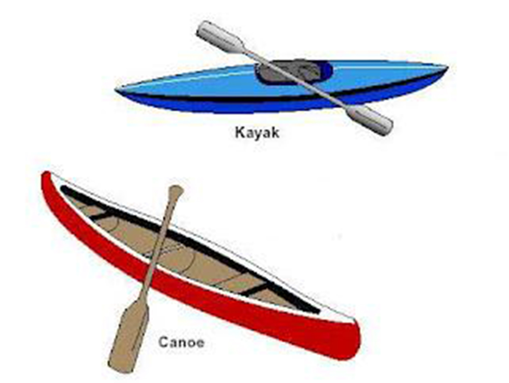 Why Wetsuit Can Let the Business of Kayaking and Canoeing Be Better